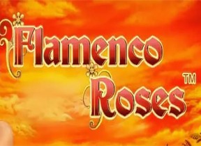 flamencoroses