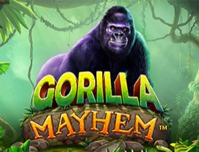 gorillamayhem
