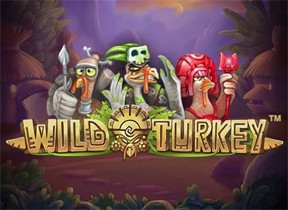 wildturkey